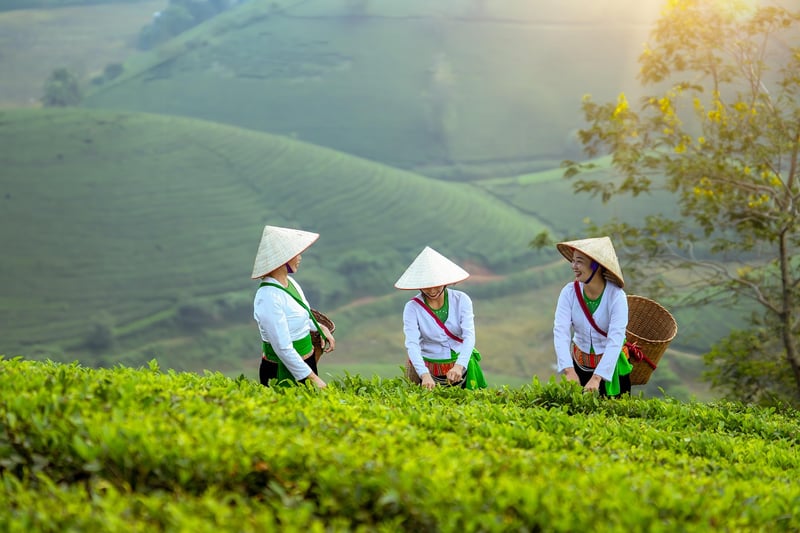 Sustainable Agriculture