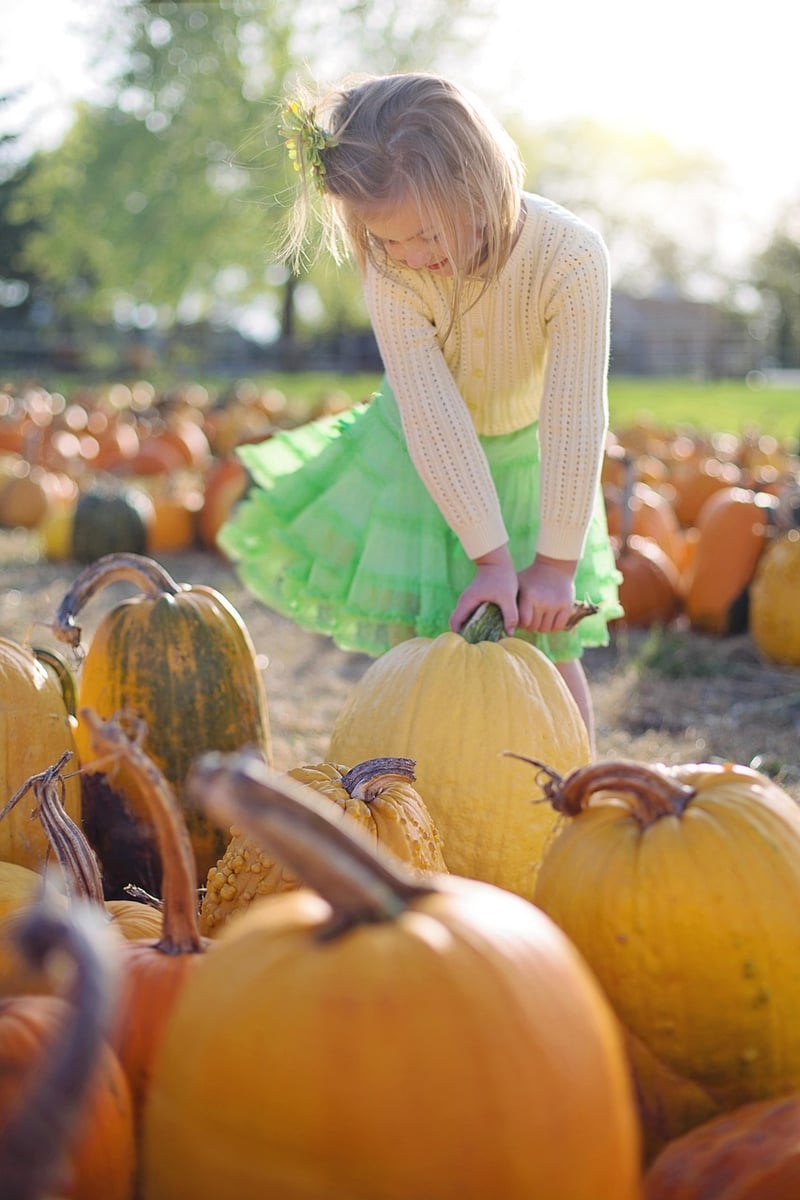 Autumn Decor